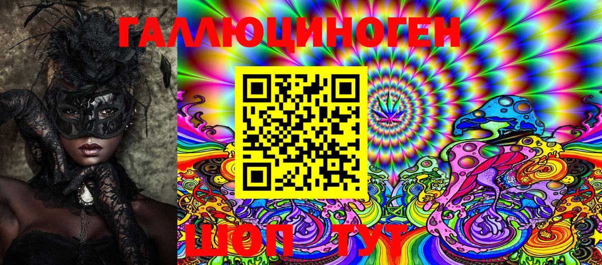 Псилоцибиновые грибы Psilocybine cubensis Урус-Мартан