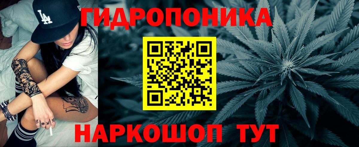Бошки марихуана гибрид Урус-Мартан